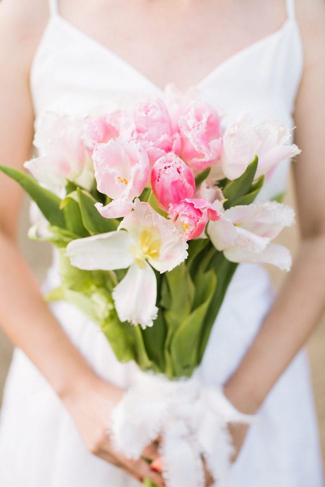 tulip flower meaning