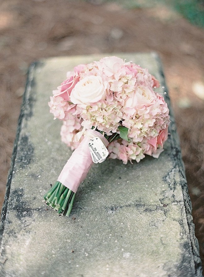 hydrangea flower meaning