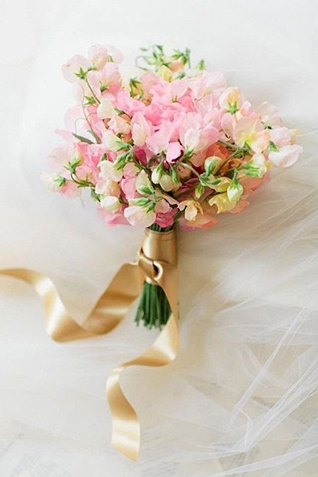 sweet pea flower meaning