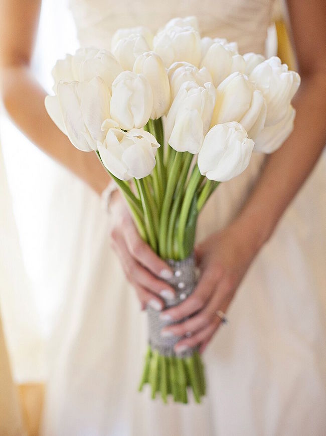 tulip flower meaning